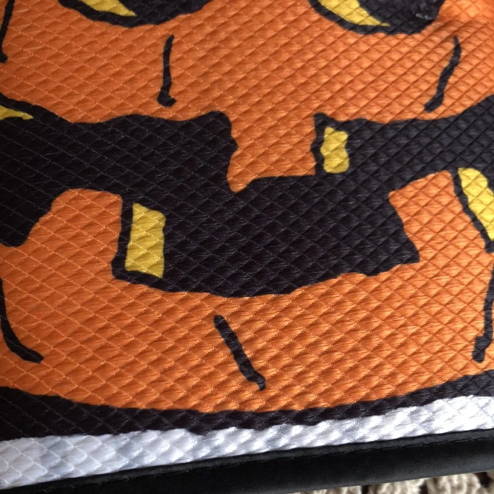Peanuts SNOOPY Halloween Dish Drying Mats